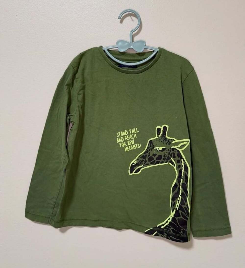 Attention Green Long Sleeve Giraffe Graphic Tee Shirt Size 6/7